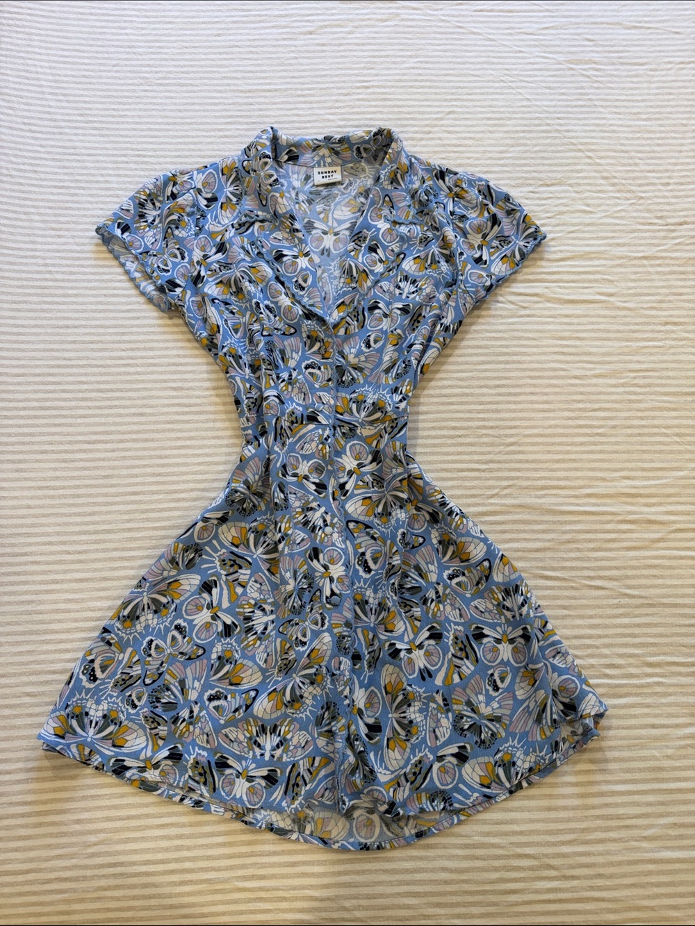Aritzia Butterfly Print Mini Dress